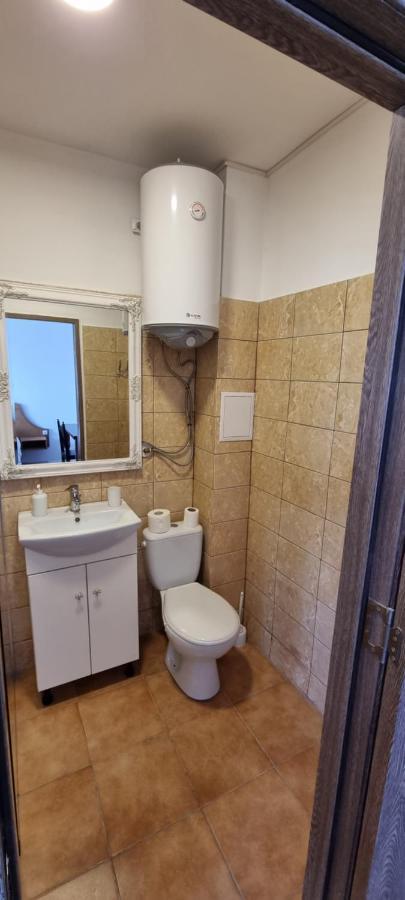 Veronica Studio Piatra Neamt Exterior photo